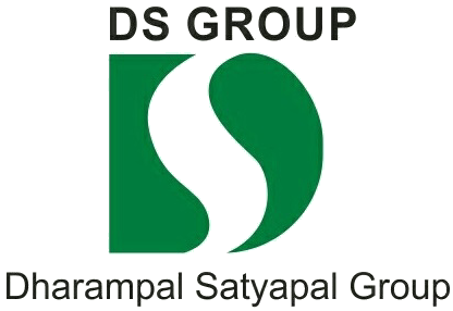 DS_Group_logo